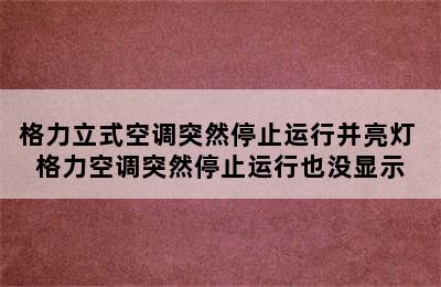 格力立式空调突然停止运行并亮灯 格力空调突然停止运行也没显示